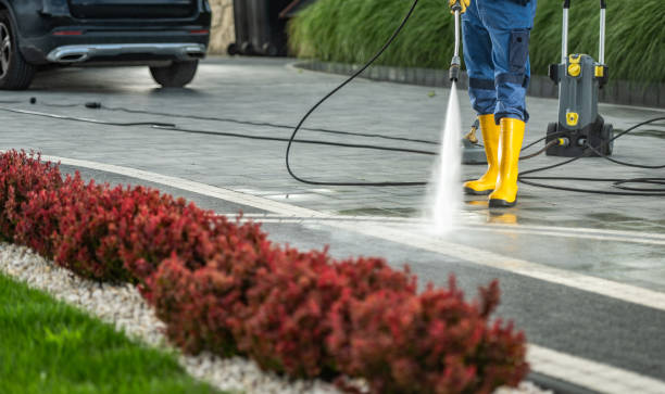 Best Fence Cleaning  in West Elmira, NY